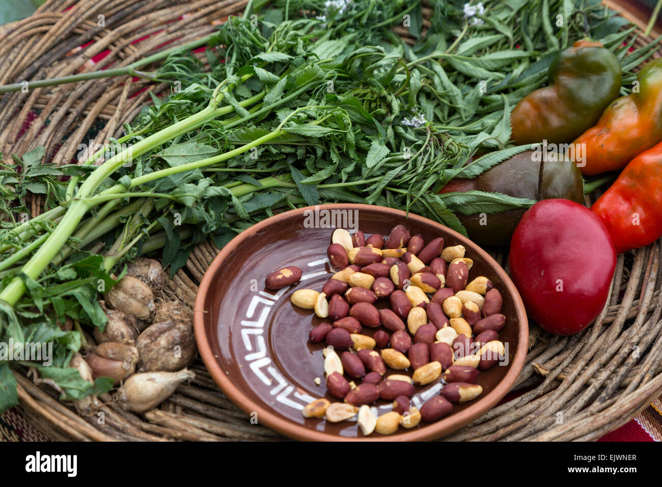 Peru, Urubamba-Tal, Quechua Dorf von Misminay.  Erdnüsse, Tomaten, Paprika und Huacatay, ein Kraut in der peruanischen Küche verwendet. Stockfoto