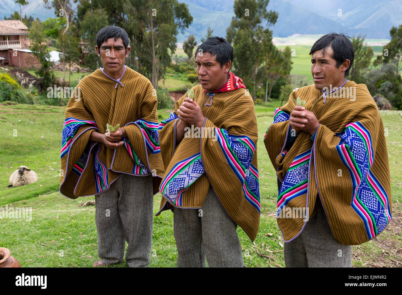 Peru, Urubamba-Tal, Quechua Dorf von Misminay.  Dorf Männer Durchführung einer Willkommenszeremonie Koka Blätter für Gäste. Stockfoto