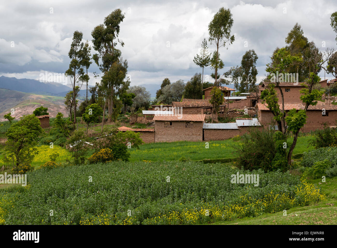 Peru, Urubamba-Tal, Quechua Dorf von Misminay. Stockfoto