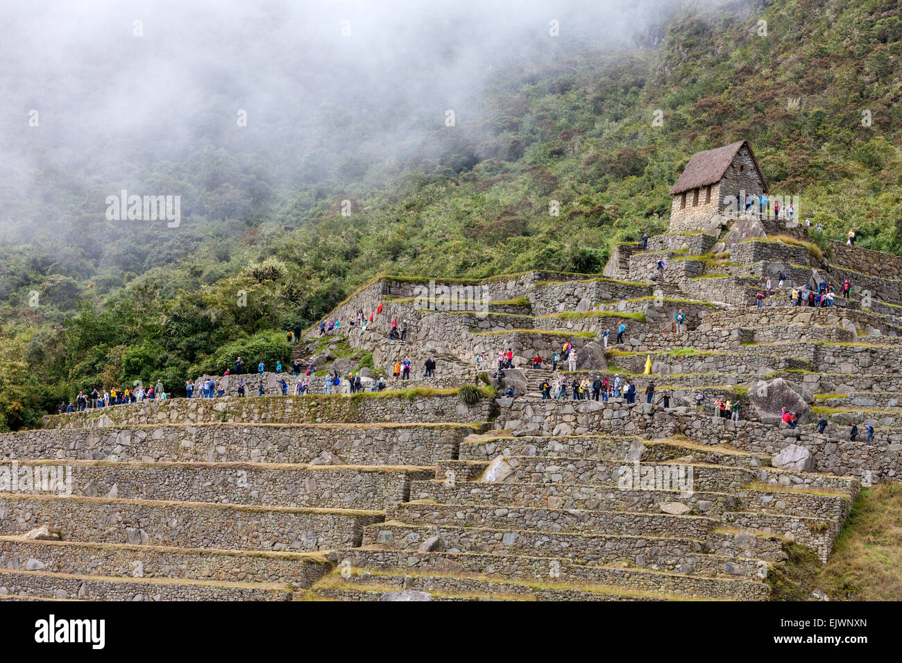 Peru, Machu Picchu.  Hauptwache und am frühen Morgen erste Touristenankünfte. Stockfoto