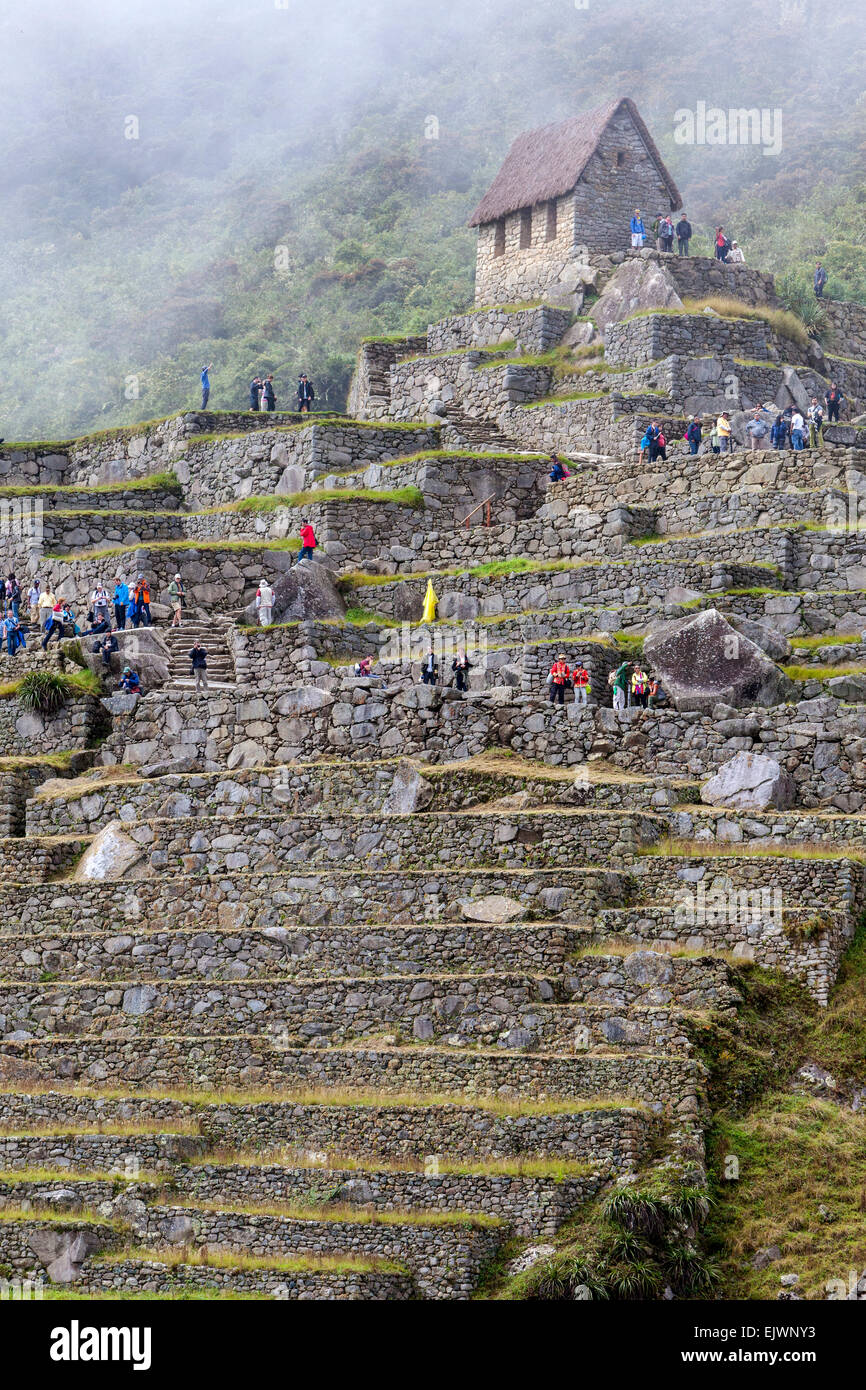 Peru, Machu Picchu.  Wachhaus und Terrassen, mit neu ankommenden Touristen. Stockfoto