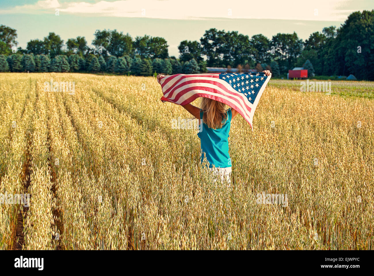 Junges Mädchen in einem Feld von Weizen mit amerikanischen Flagge. Stockfoto