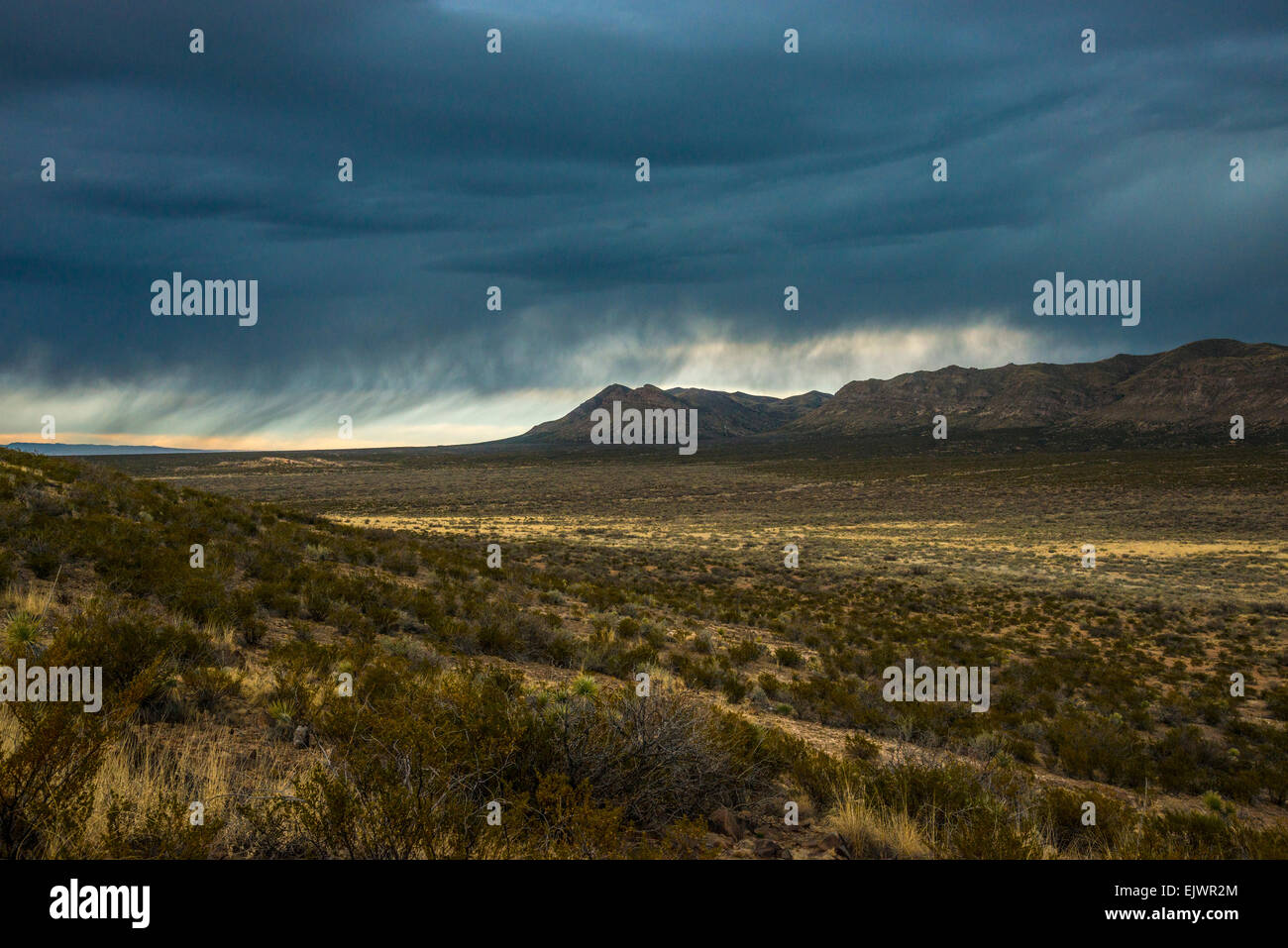 Ein Sturm braut sich über Tularosa-Becken in der Nähe von Carrizozo, New Mexico. Stockfoto