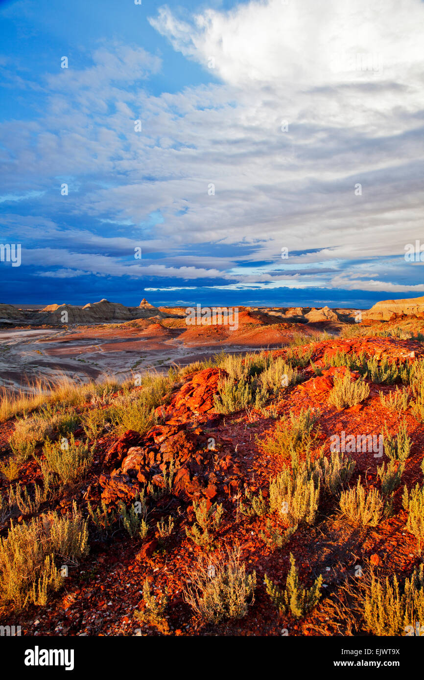 Die Bisti De Na Zin Wilderness Area in der Nähe von Farmington, New Mexico, ist ein Wildnisgebiet gefüllt mit bunten Earthforms und unheimliche Stockfoto