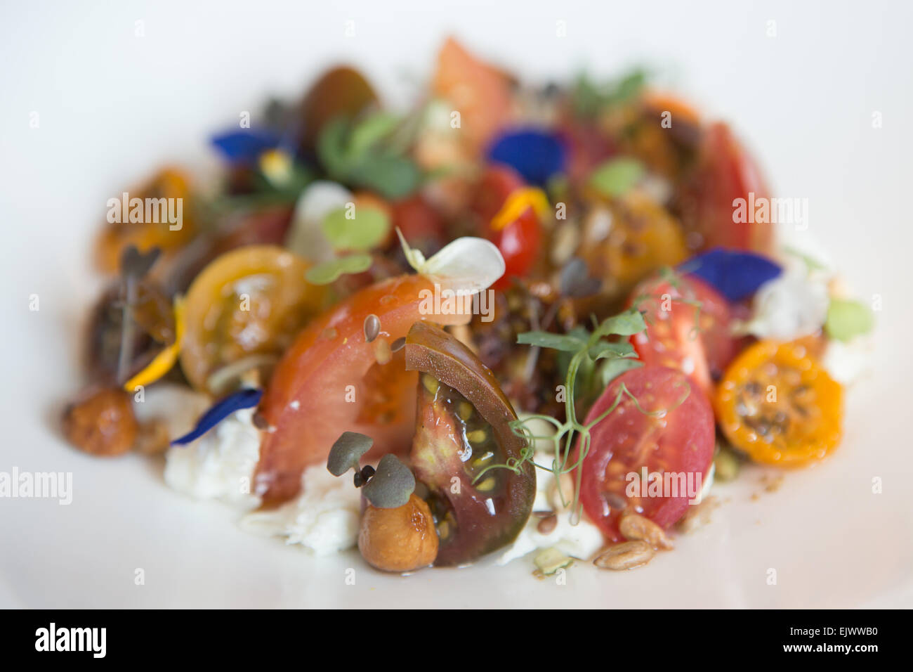 Erbstück und Cherry-Tomaten mit Char-Grill, geräucherter Mozzarella-Salat, mit Blume Garnierung in einer weißen Schüssel serviert. Stockfoto