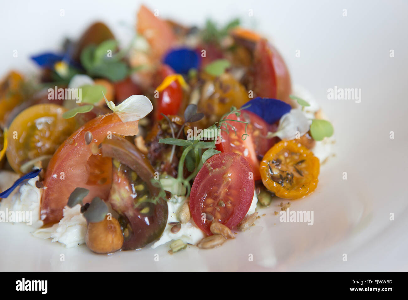 Erbstück und Cherry-Tomaten mit Char-Grill, geräucherter Mozzarella-Salat, mit Blume Garnierung in einer weißen Schüssel serviert. Stockfoto