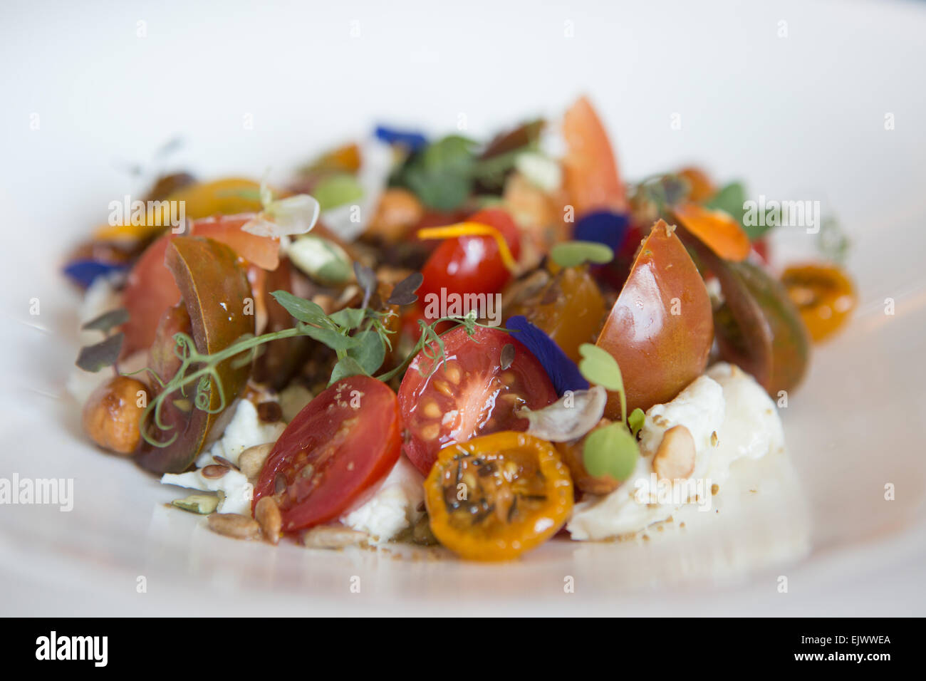 Erbstück und Cherry-Tomaten mit Char-Grill, geräucherter Mozzarella-Salat, mit Blume Garnierung in einer weißen Schüssel serviert. Stockfoto