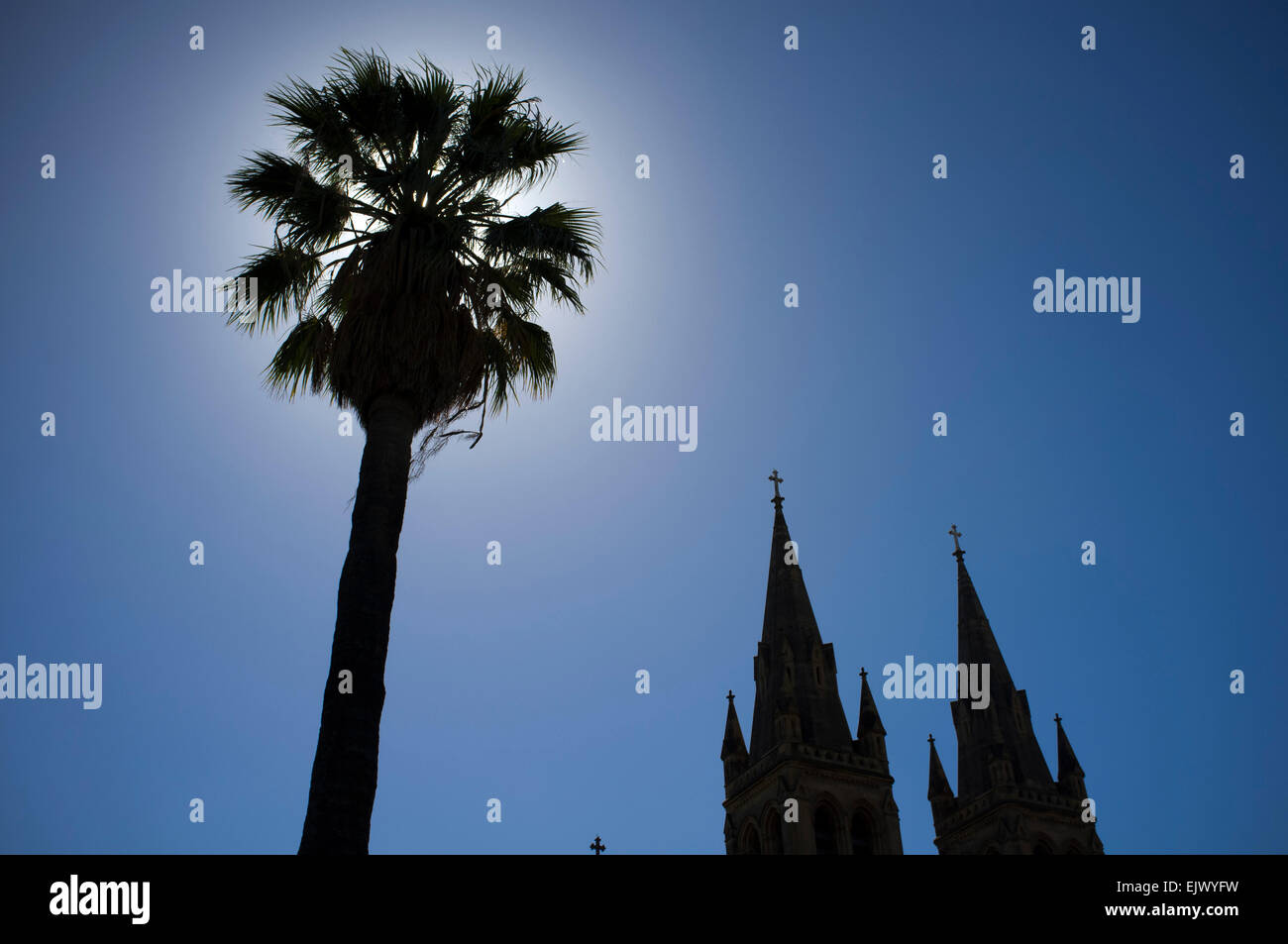 Adelaide, Australien. 2. April 2015. St.-Peter Kathedrale in Adelaide Aalen in der Sonne wie es bereitet sich auf feiern Karfreitag als Teil der Heiligen Osterwoche Credit: Amer Ghazzal/Alamy Live-Nachrichten Stockfoto