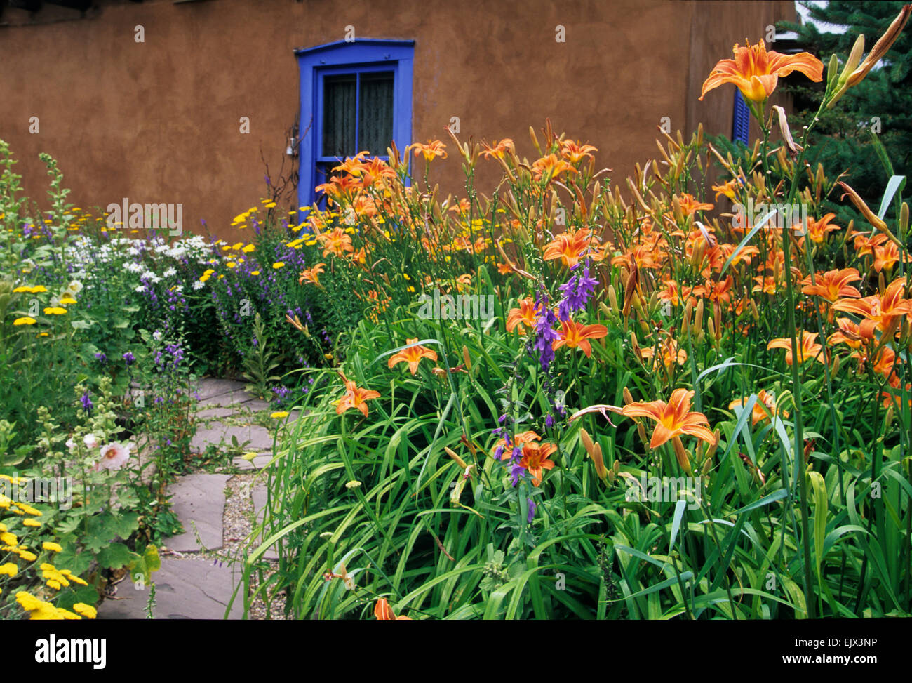 Die Gärten von Santa Fe, New Mexico, bieten eine konstante Versorgung mit schöne Überraschungen und raffinierte Köstlichkeiten. Stockfoto