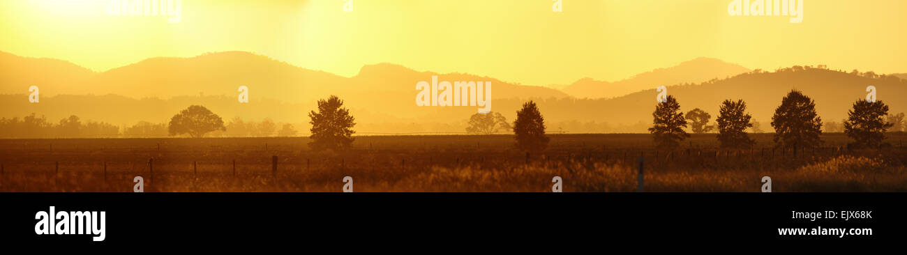 Eine Goldene Morgenröte über den Liverpool-Ranges, in der Nähe von Caroona, NSW, Australien. Stockfoto