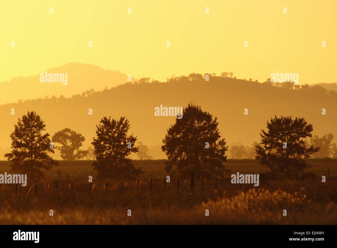 Eine Goldene Morgenröte über den Liverpool-Ranges, in der Nähe von Caroona, NSW, Australien. Stockfoto