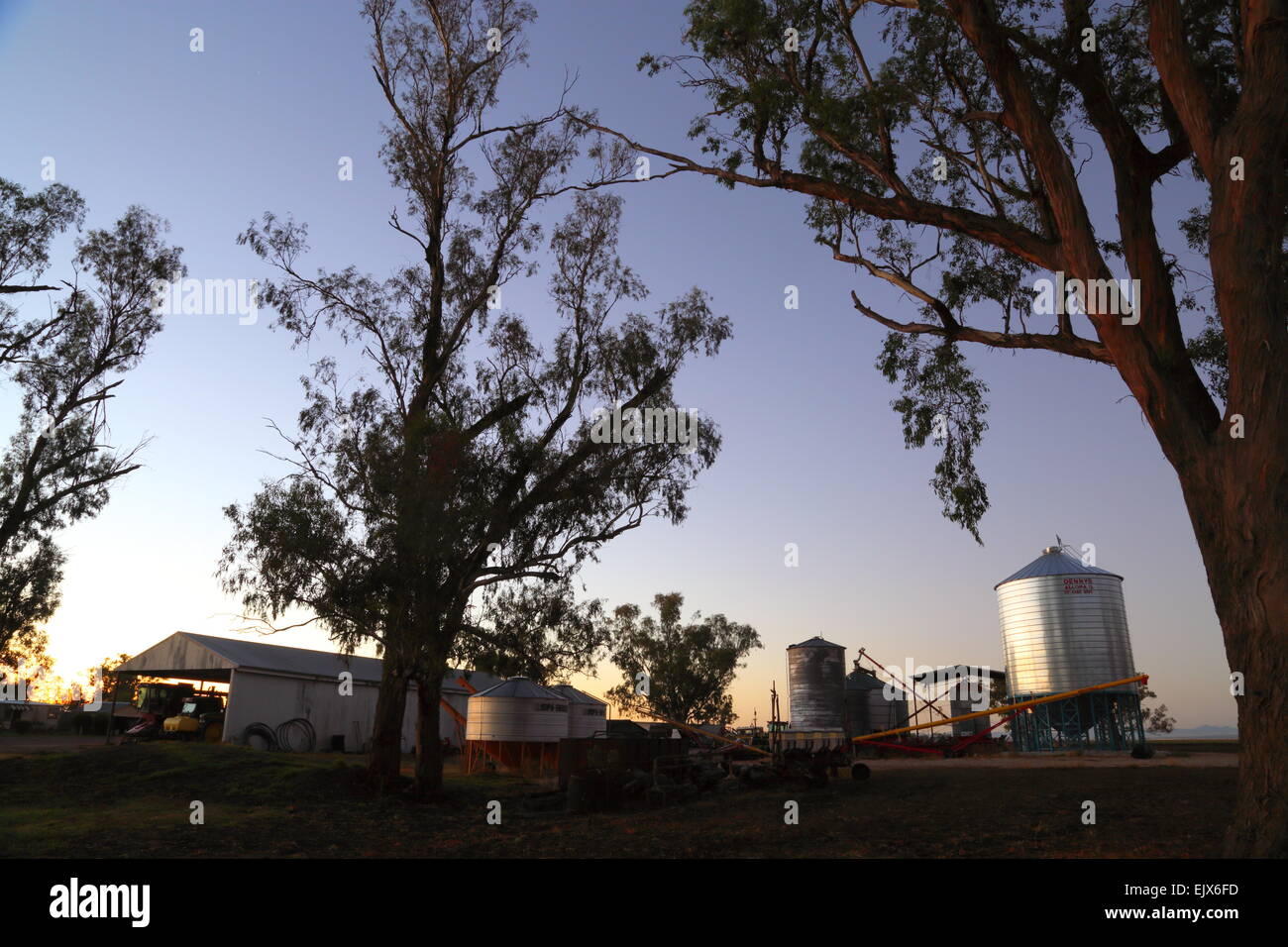 Eine ländliche Morgendämmerung umhüllt einen Bauernhof Schuppen, Silo, landwirtschaftliche Geräte und Eukalyptus-Bäume in der Nähe von Caroona, NSW, Australien. Stockfoto