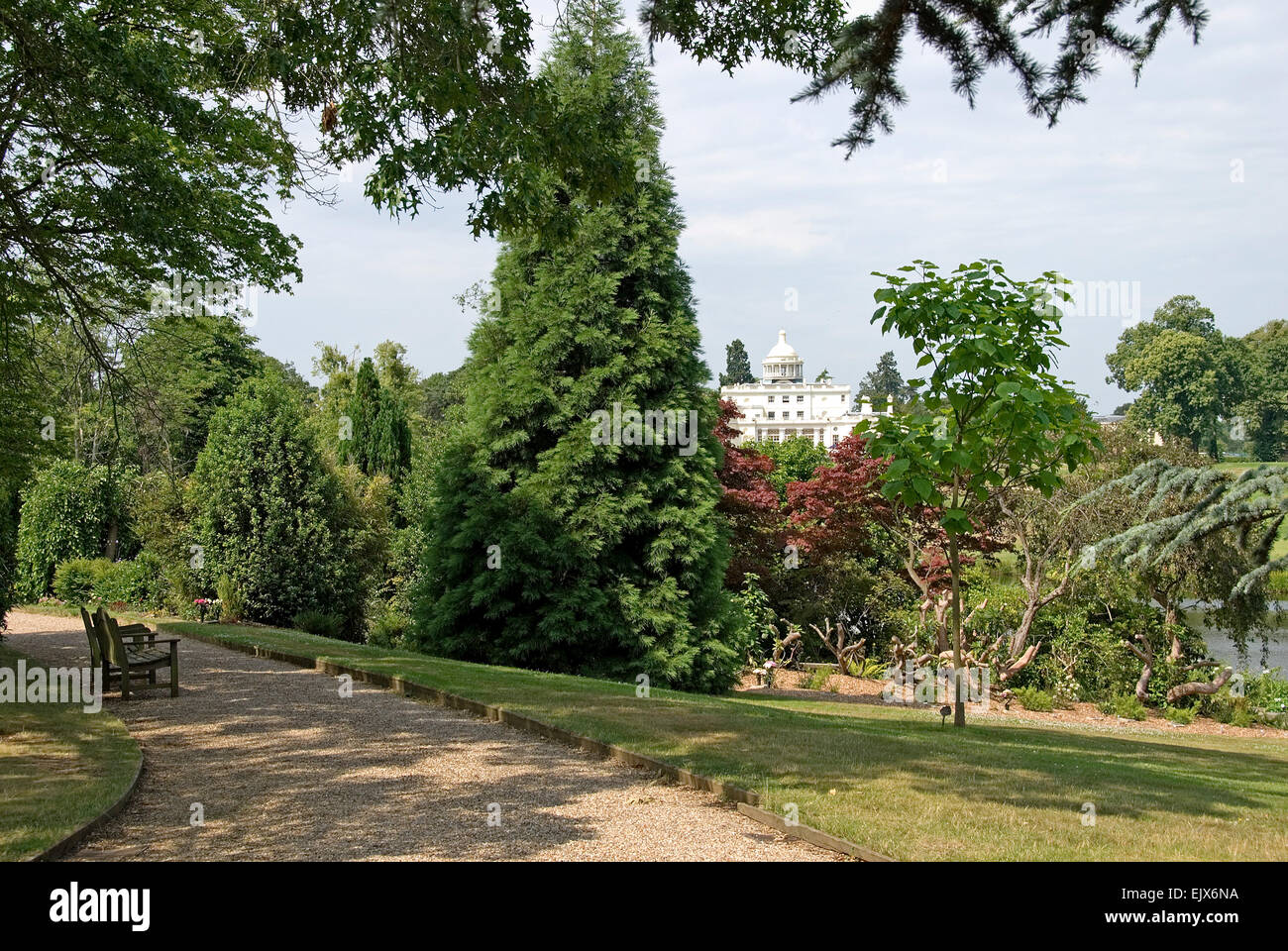Dollar - Stoke Poges - Blick auf Stoke Park - späten georgianischen Villa - inmitten von Bäumen aus Pfad im nahe gelegenen Gedenkstätte Gdns - Sonnenlicht gesehen Stockfoto