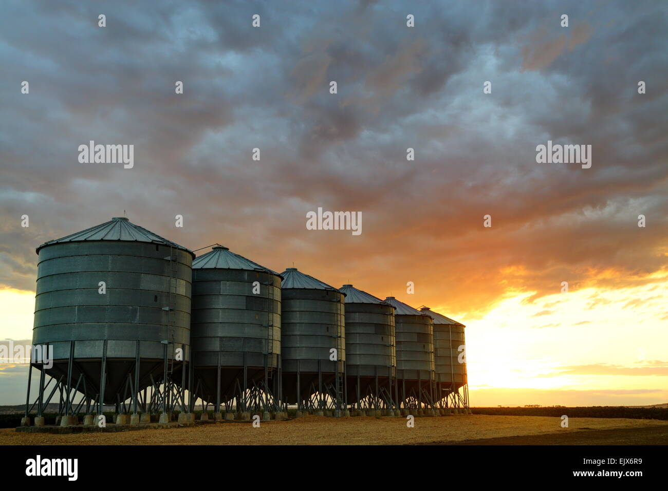 Sechs Getreidesilos in der Abenddämmerung auf Breeza Station - Breeza, NSW, Australien. Dieser Bereich ist Teil der Liverpool Plains-Region. Stockfoto