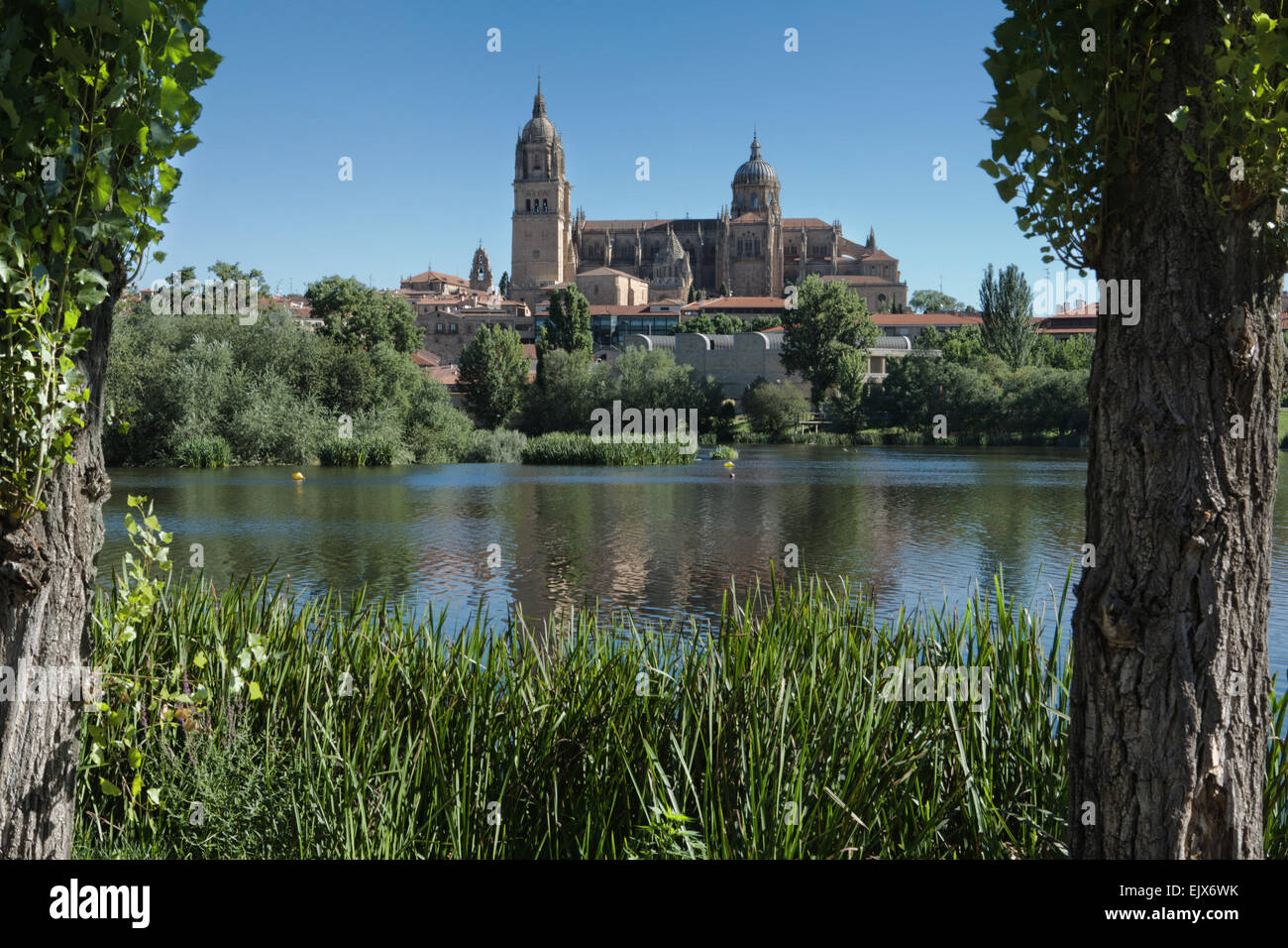 Einen atemberaubenden Blick auf die gotische Kathedrale in Salamanca, reflektiert in das kristallklare Wasser von einem nahe gelegenen Fluss Stockfoto