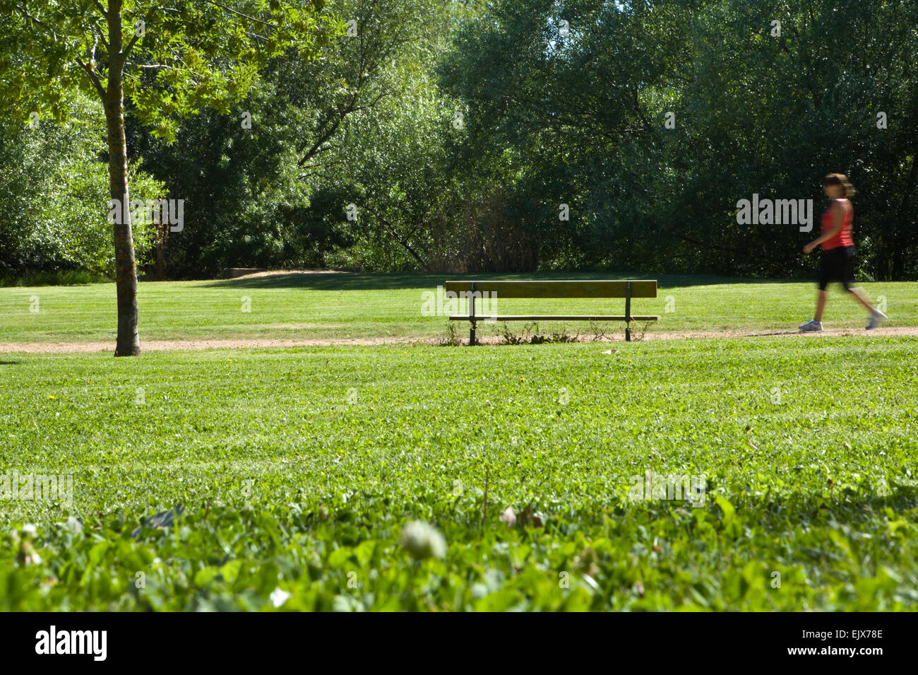 Junge Frau im Park, außerhalb des Sports erschossen Joggen Stockfoto