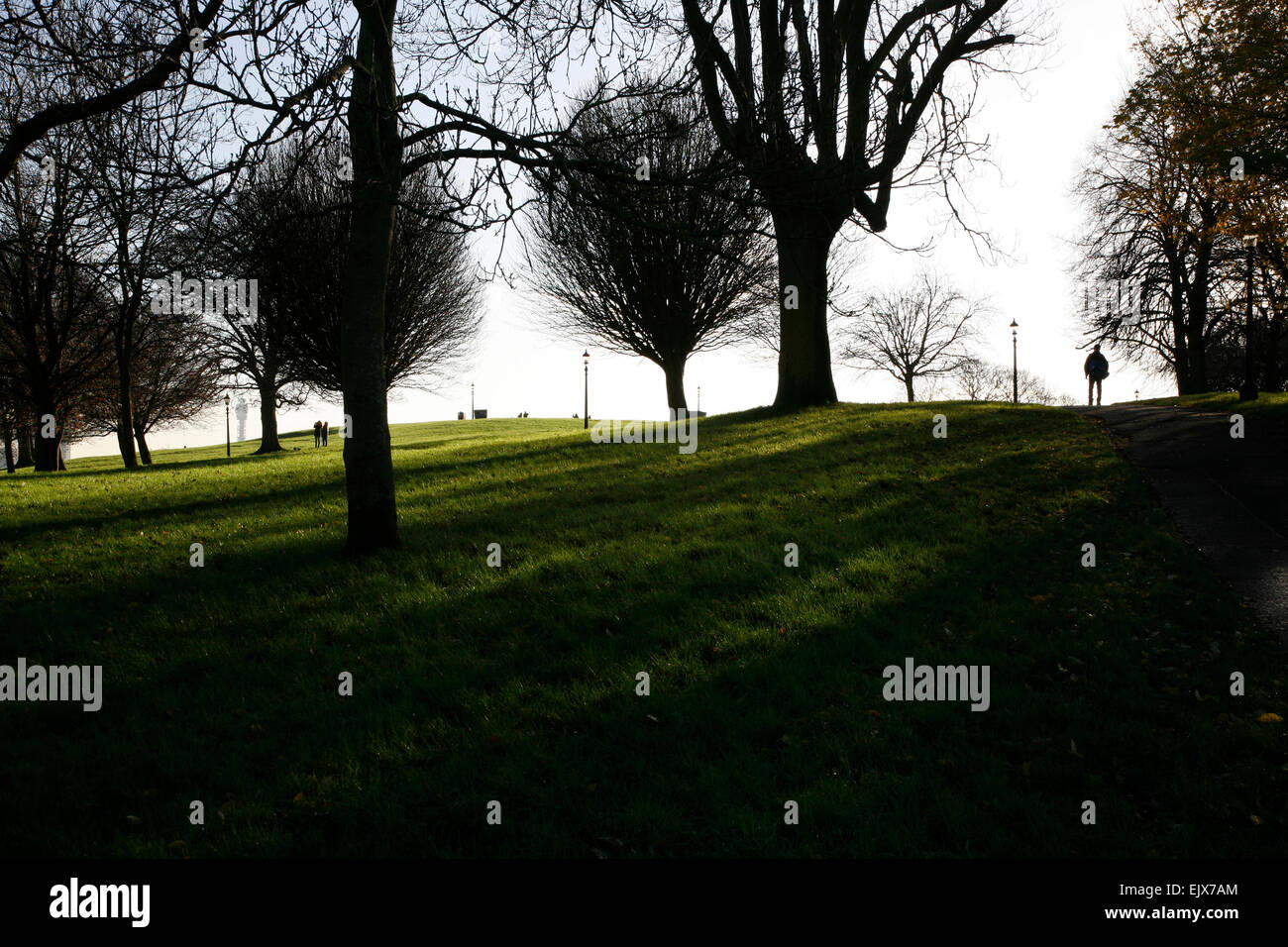 Telekom-Turm gesehen von der Rückseite der Primrose Hill, London, UK Stockfoto