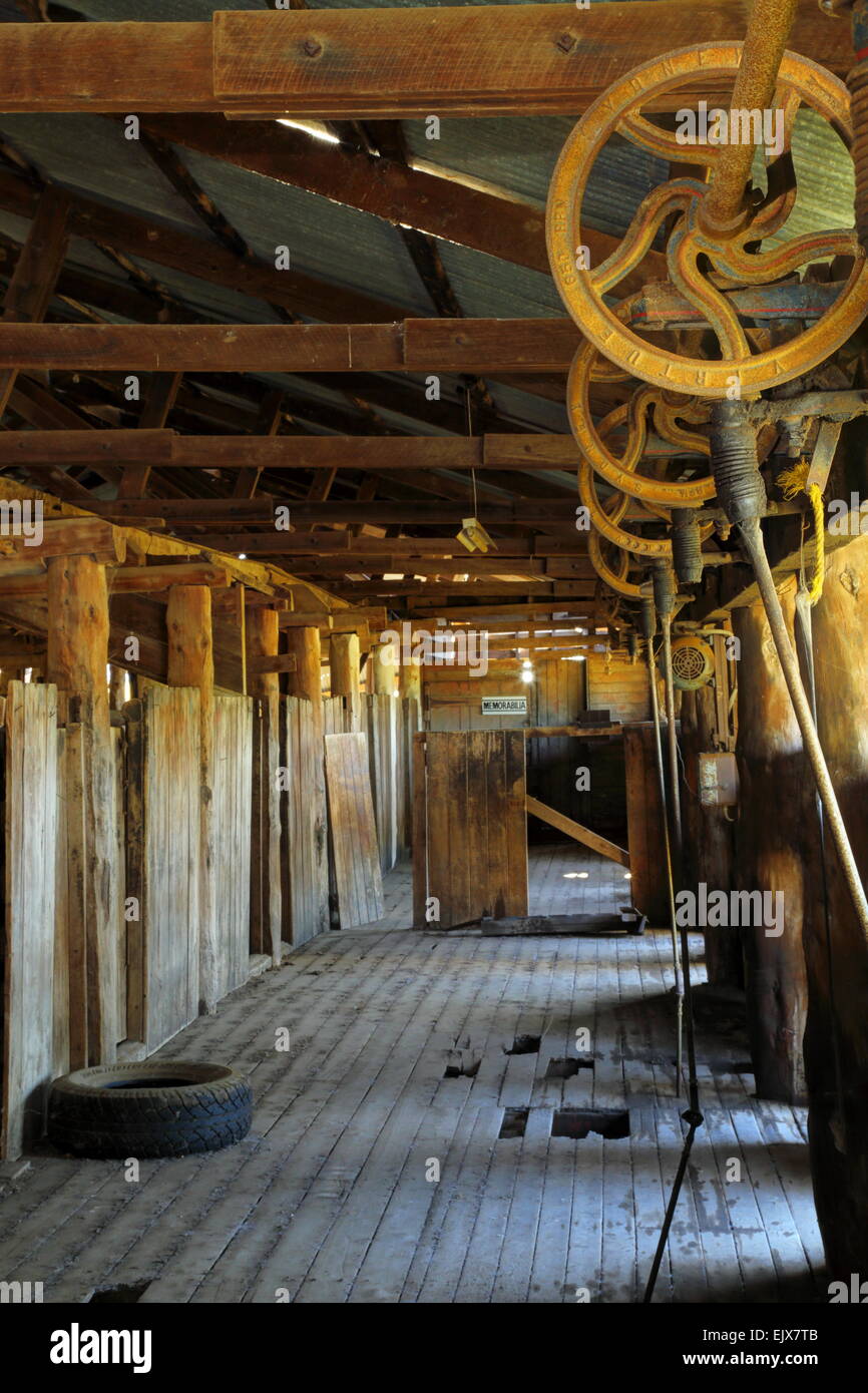 Ein pensionierter Scheren Schuppen auf Breeza Station - Breeza, New-South.Wales, Australien. Stockfoto