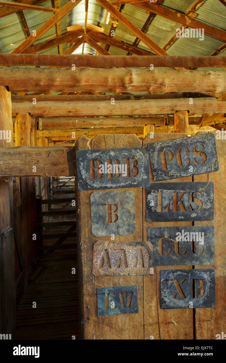 Ein pensionierter Scheren Schuppen auf Breeza Station - Breeza, New-South.Wales, Australien. Stockfoto