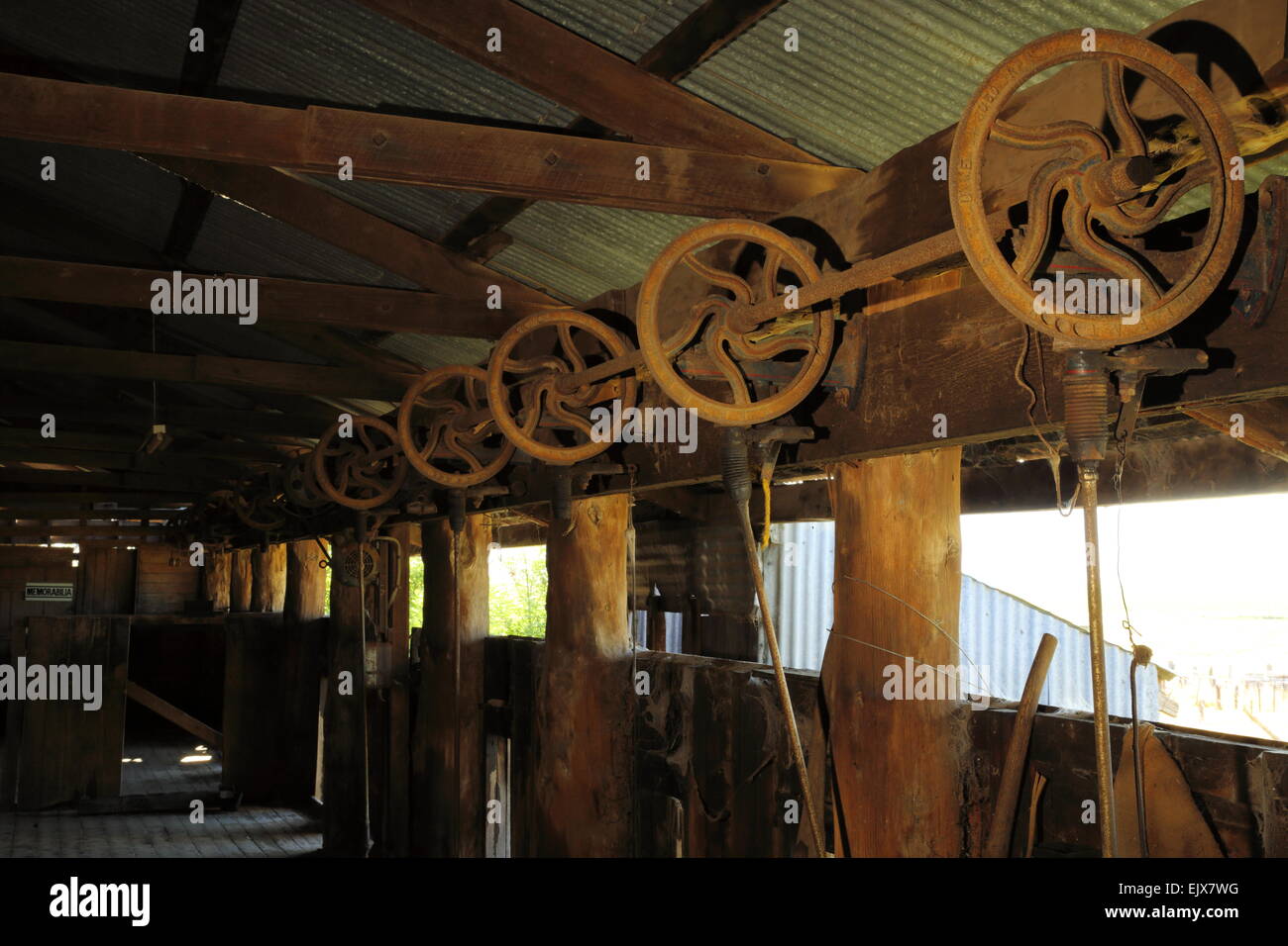 Ein pensionierter Scheren Schuppen auf Breeza Station - Breeza, New-South.Wales, Australien. Stockfoto