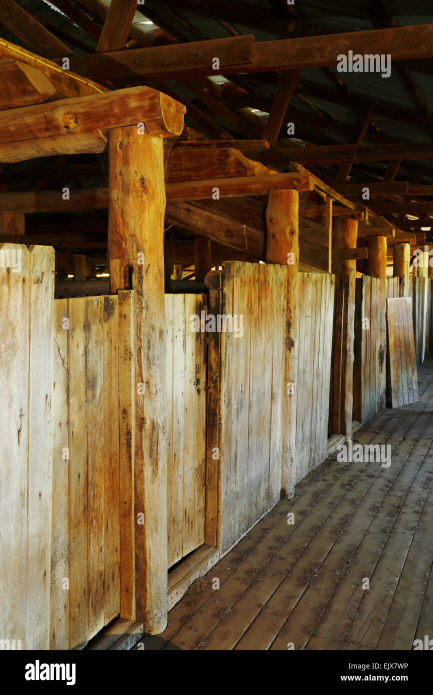 Ein pensionierter Scheren Schuppen auf Breeza Station - Breeza, New-South.Wales, Australien. Stockfoto