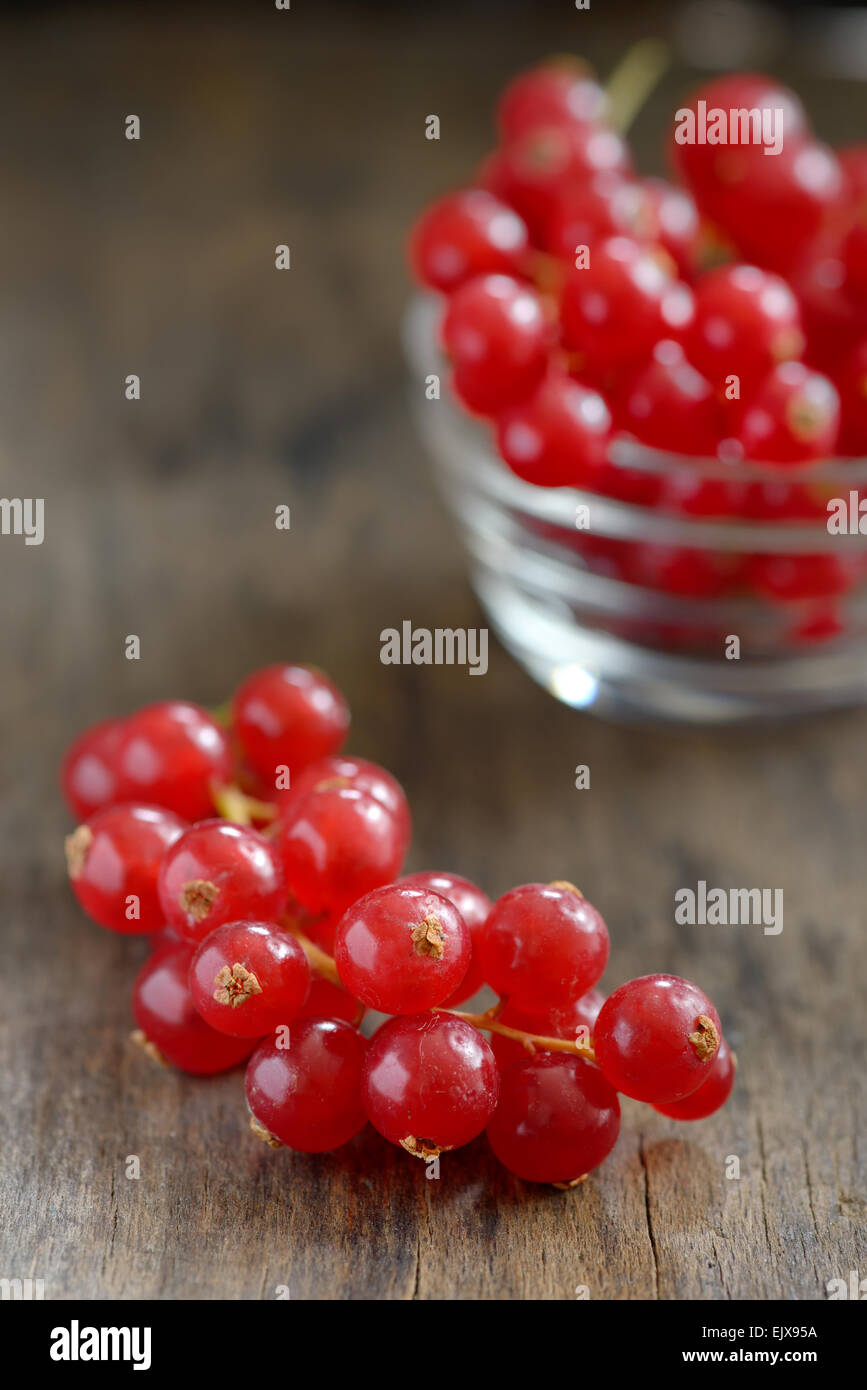 Rote Johannisbeeren isoliert auf altem Holz Stockfoto