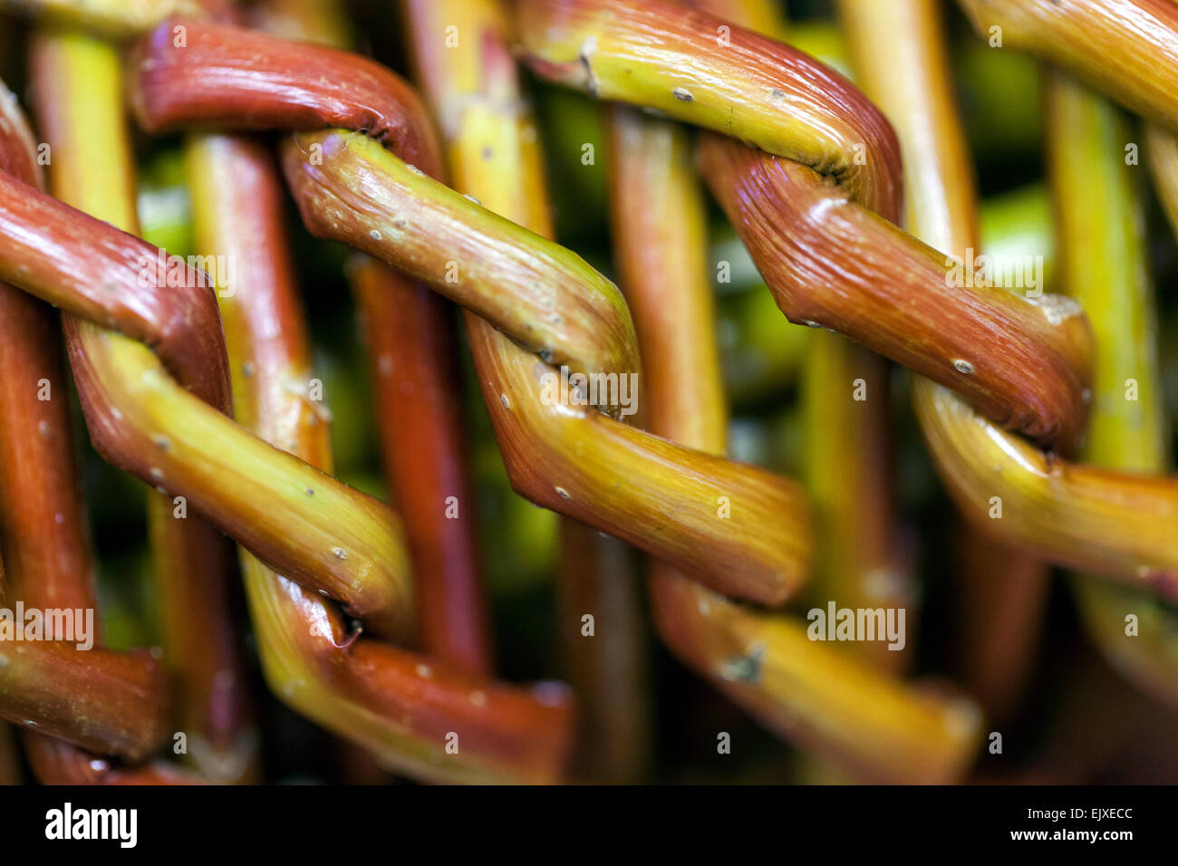 Ostern-Peitsche aus Willow Zweige detail Tschechien Stockfoto