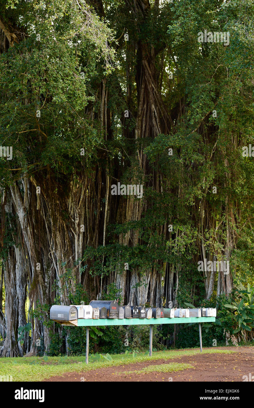 Nahiku hawaii usa Fotos und Bildmaterial in hoher Auflösung Alamy