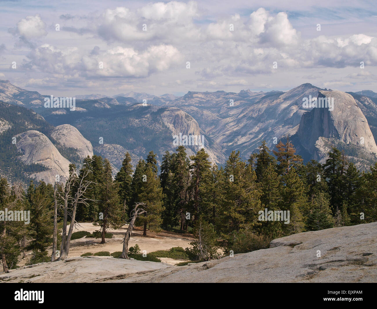 Half Dome. Yosemite Nationalpark, Kalifornien Stockfoto