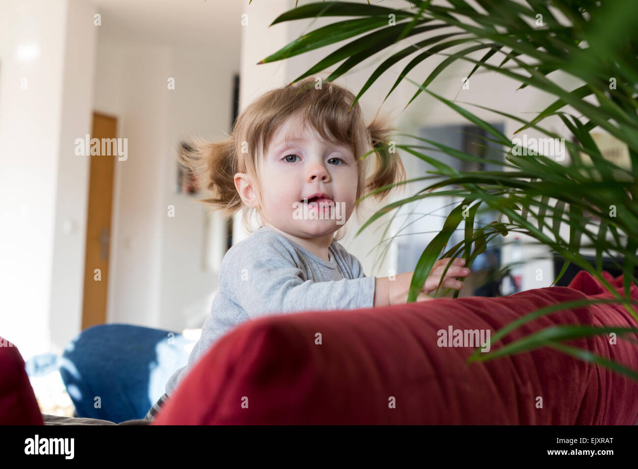 Kleine Mädchen spielen mit Zimmerpflanze Stockfoto