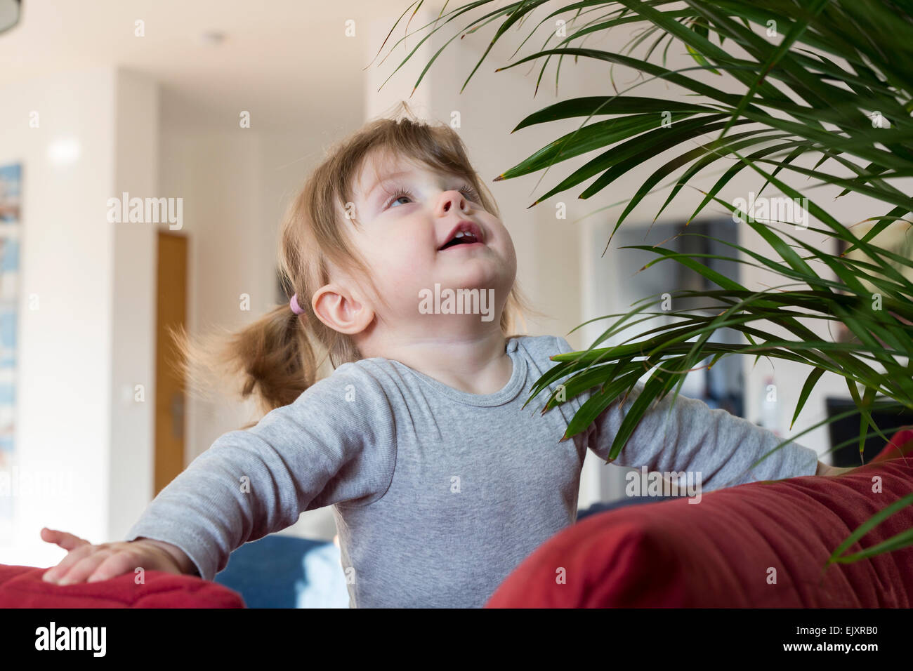 Kleine Mädchen spielen mit Zimmerpflanze Stockfoto