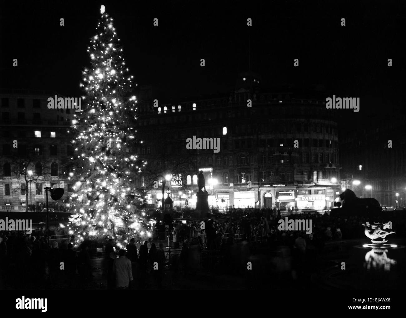 Ein 56 Fuß Weihnachtsbaum auf dem Trafalgar Square, Londoner von die Leute von Oslo gegeben. 19. Dezember 1958. Stockfoto