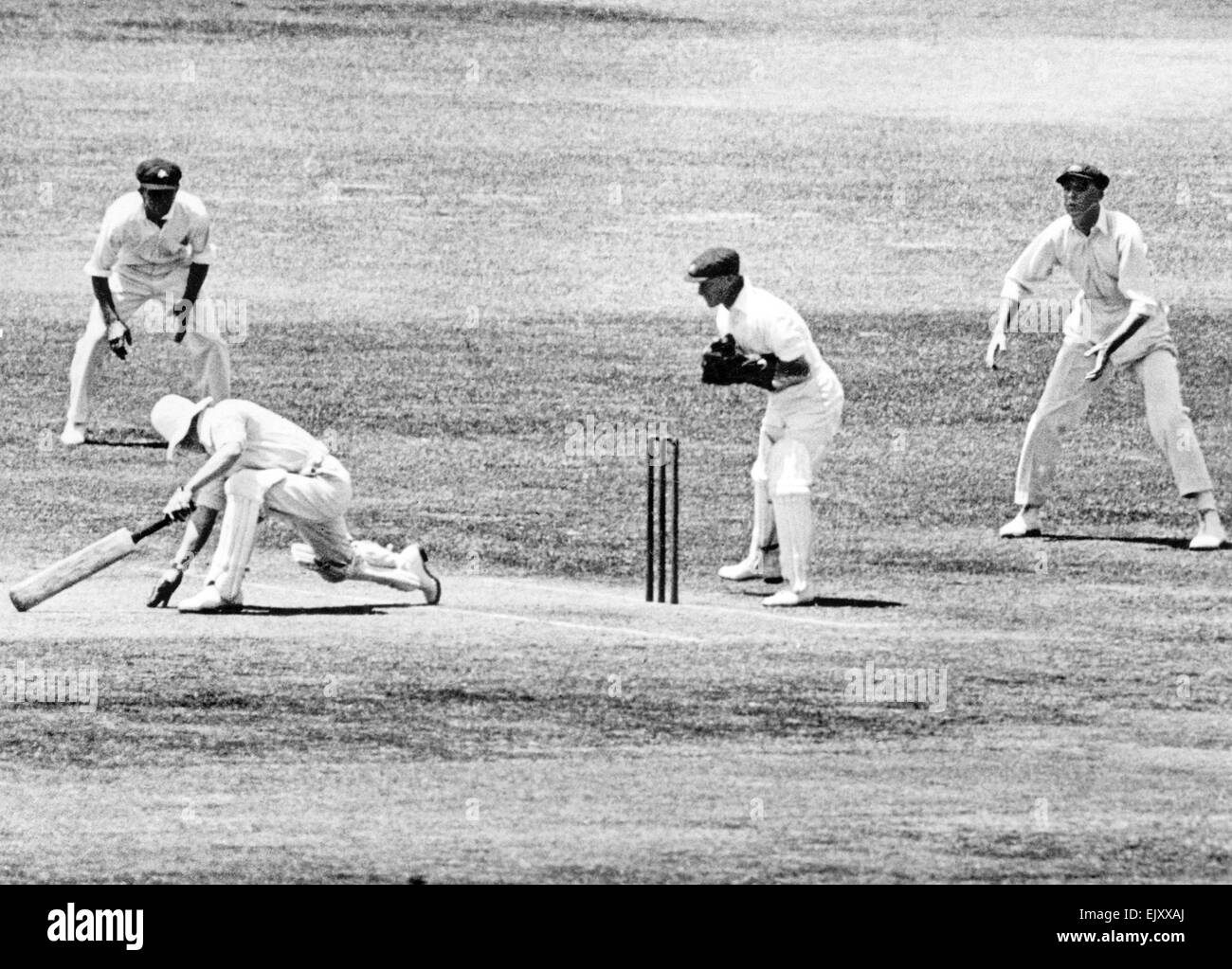 Bert Oldfield darauf warten, George Duckworth im 4. Test zwischen Australien und England England gewonnen durch 12 stumpf läuft Test Nr. 179 | 1928/29 Saison gespielt bei Adelaide Oval 1,2,4,5,6,7,8 Februar 1929 (zeitlose Spiel) Stockfoto