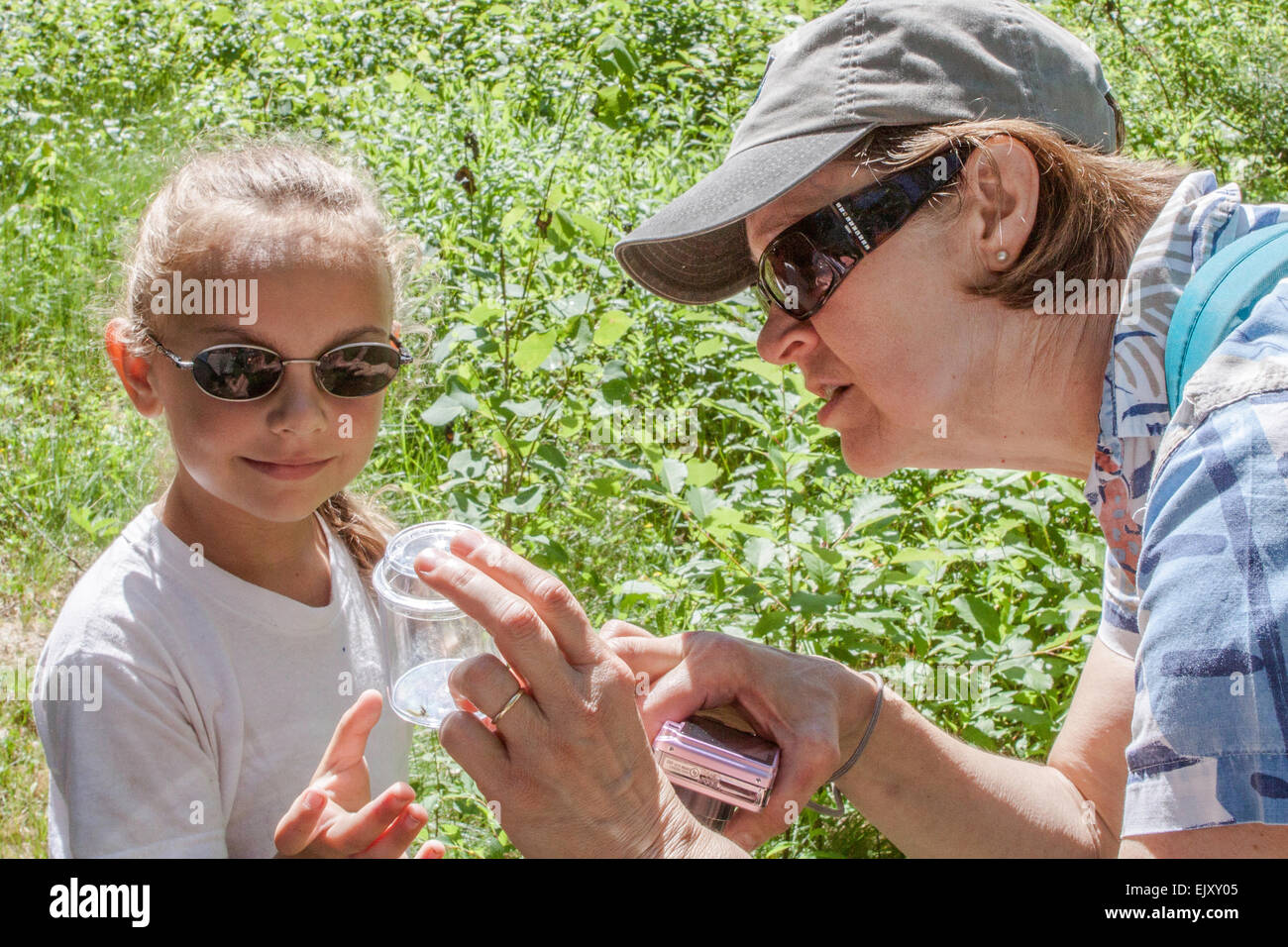 Lehrer und Schüler untersuchen ein Insekt in einem Glas Stockfoto