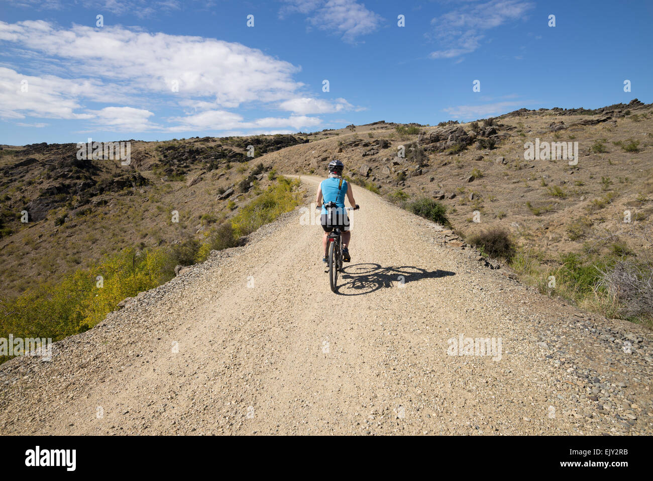 Weibliche Radfahrer Radsport der Otago Radweg, Südinsel, Neuseeland. Stockfoto
