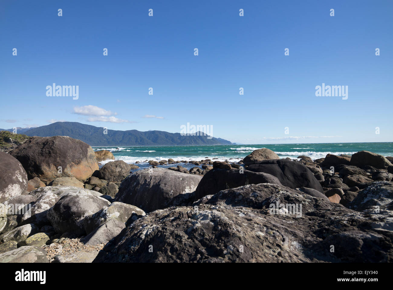 Südlichen Robbenkolonie auf Martins Bay, Hollyford Track, Südinsel, Neuseeland. Stockfoto