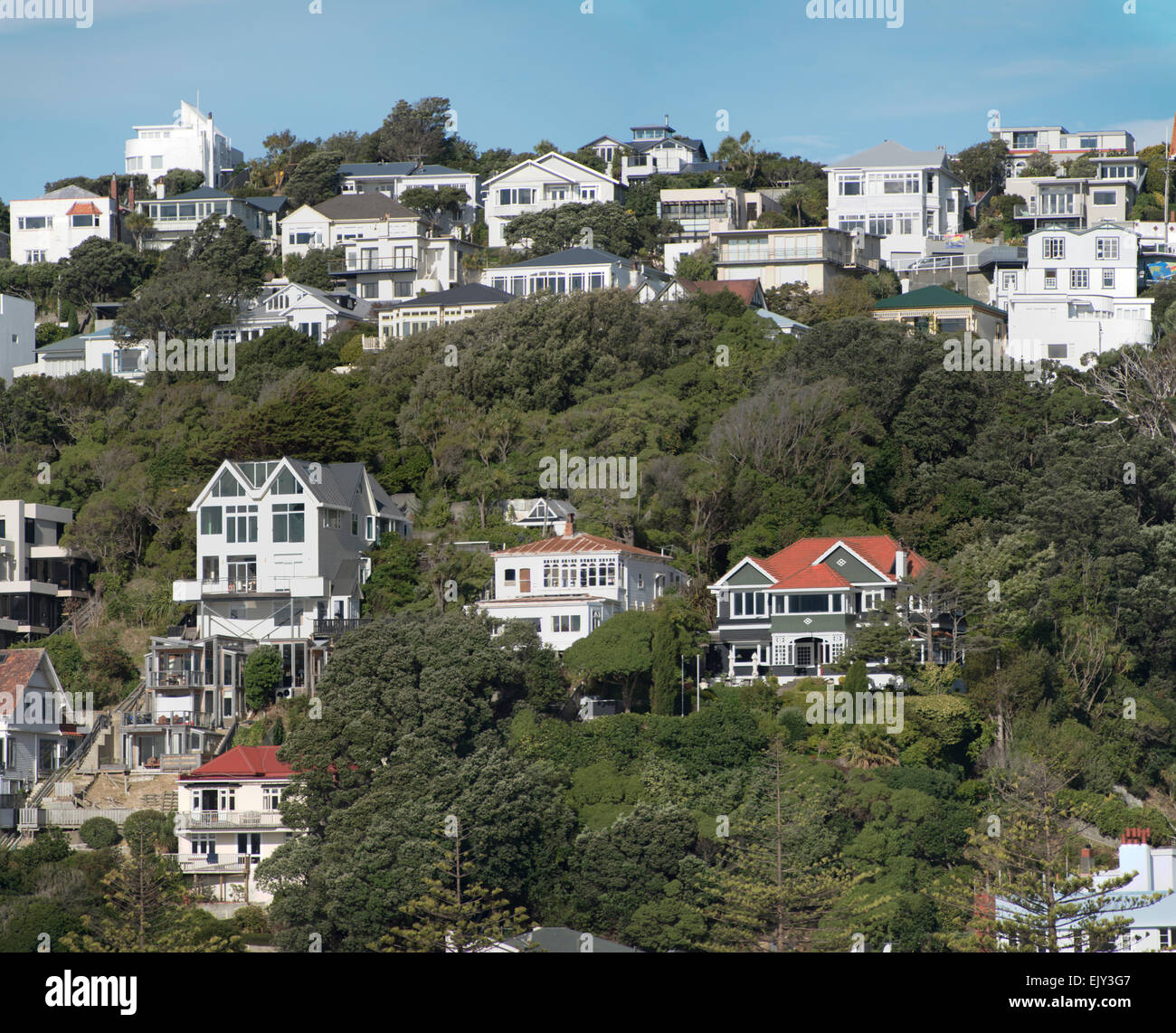 Oriental Bay Häuser, Wellington, Nordinsel, Neuseeland. Stockfoto