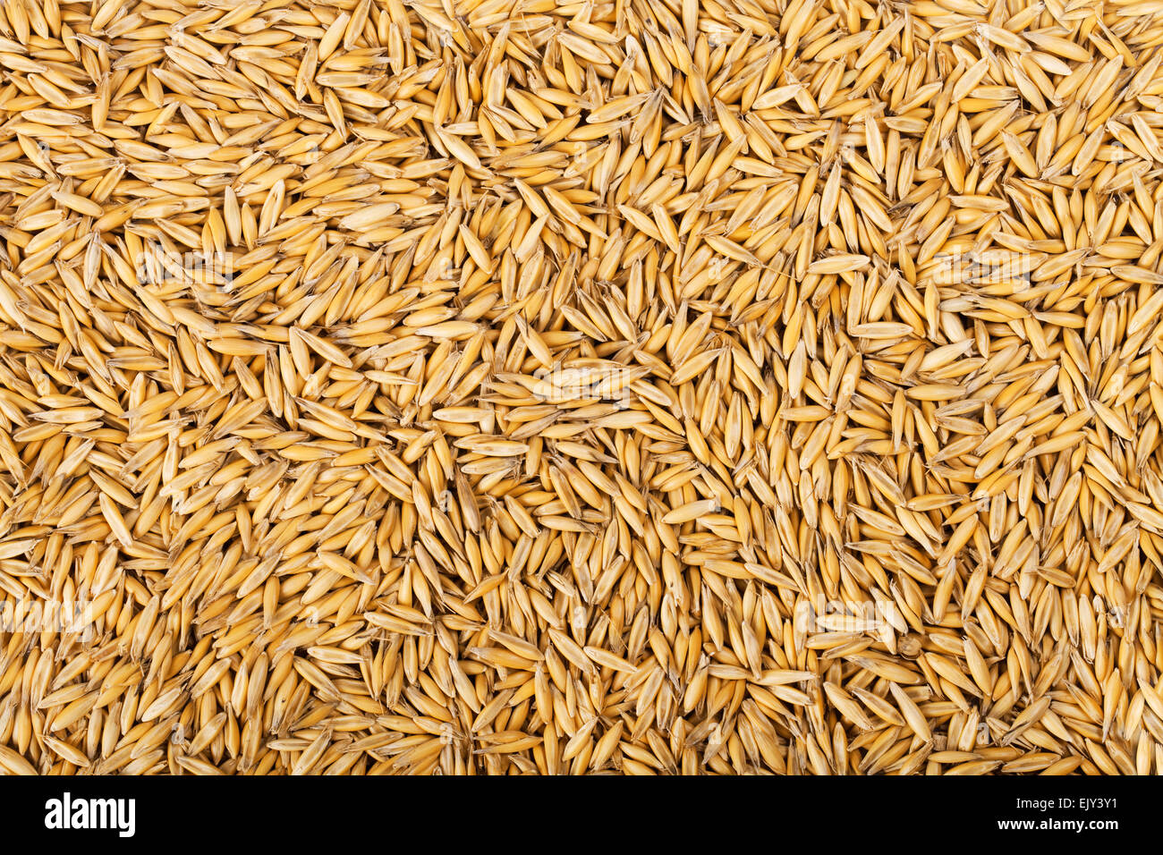 natürlichen Hafer Körnern Hintergrund, Closeup für Sie entwerfen Stockfoto
