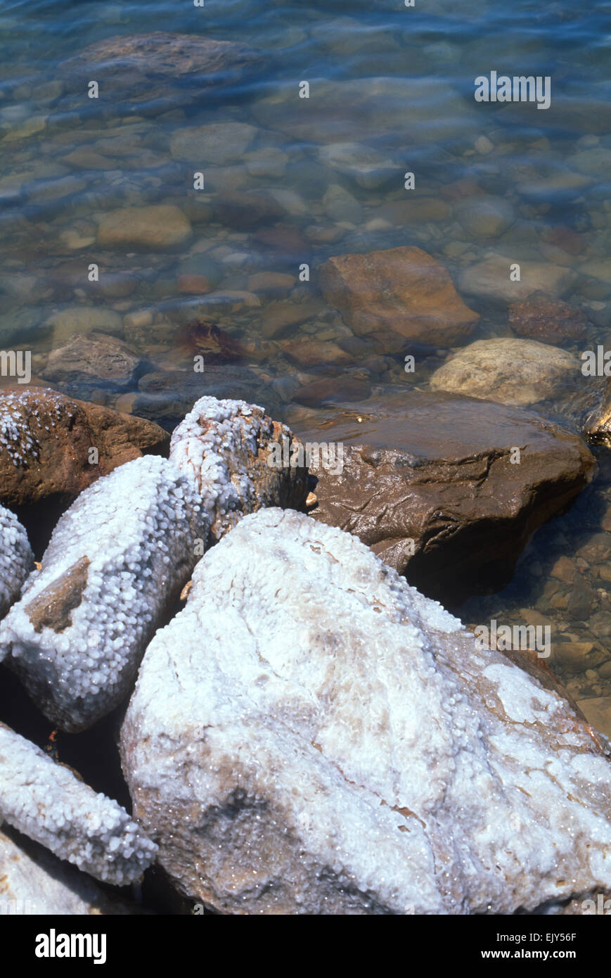 Steinsalz, Halit, Ablagerungen auf Felsen am Toten Meer, Jordanien form Stockfoto