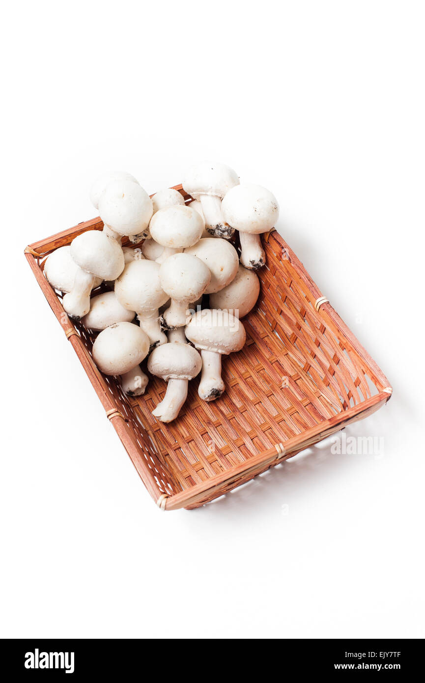 Braune Korb mit Haufen weiße rohe kultivierten Champignons auf Pilze weißen Hintergrund Stockfoto