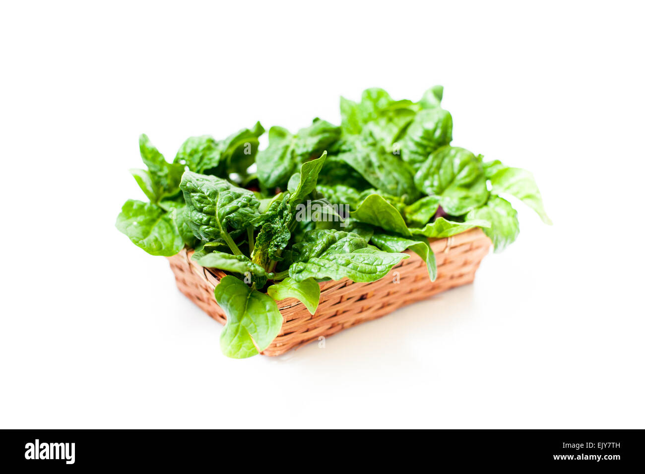 Braune Korb mit rohen Spinat grüne Blätter, großaufnahme differenzielle Fokus auf weißem Hintergrund Stockfoto