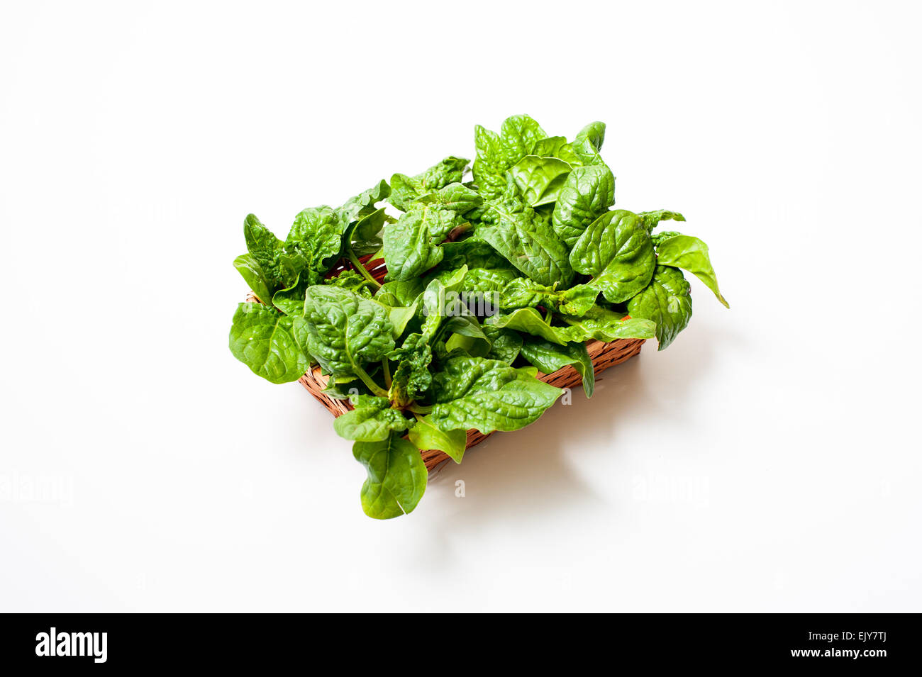 Braune Korb mit rohen Spinat grüne Blätter auf weißem Hintergrund Stockfoto