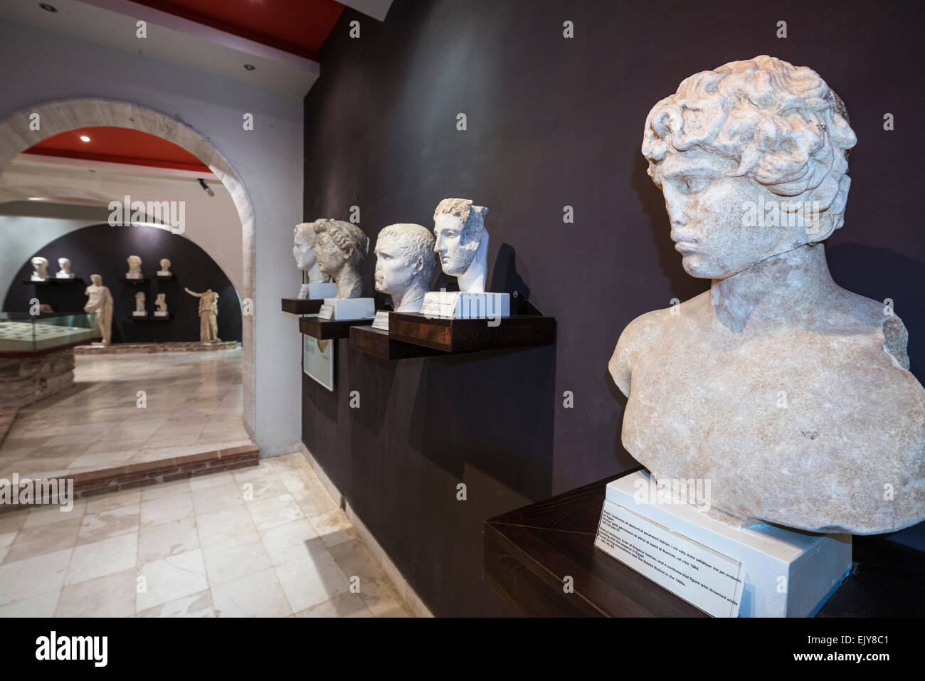 Römischen Büsten auf Anzeige im Museum im alten Butrint, Südalbanien. Stockfoto