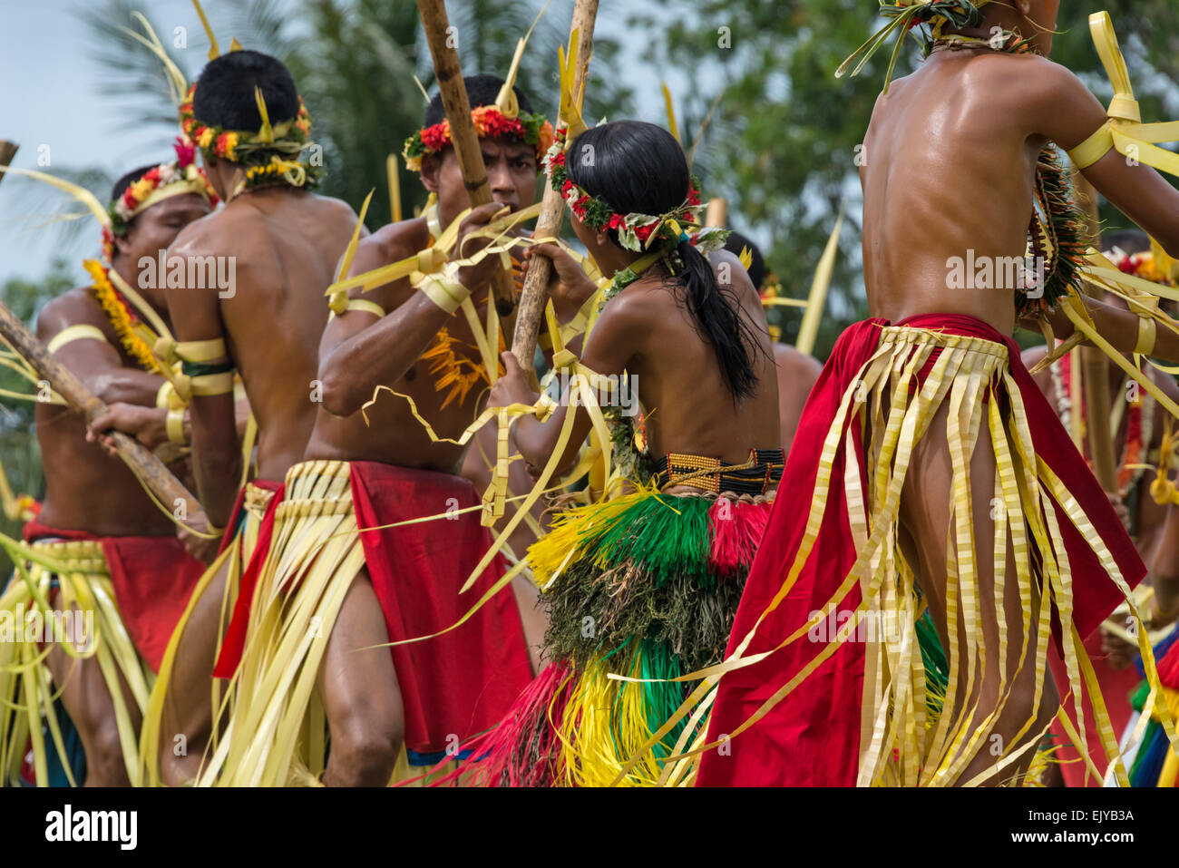 Jungen und Mädchen in traditioneller Kleidung Tanz mit Bambusstab auf Yap Day Festival, Insel Yap, Föderierte Staaten von Mikronesien Stockfoto