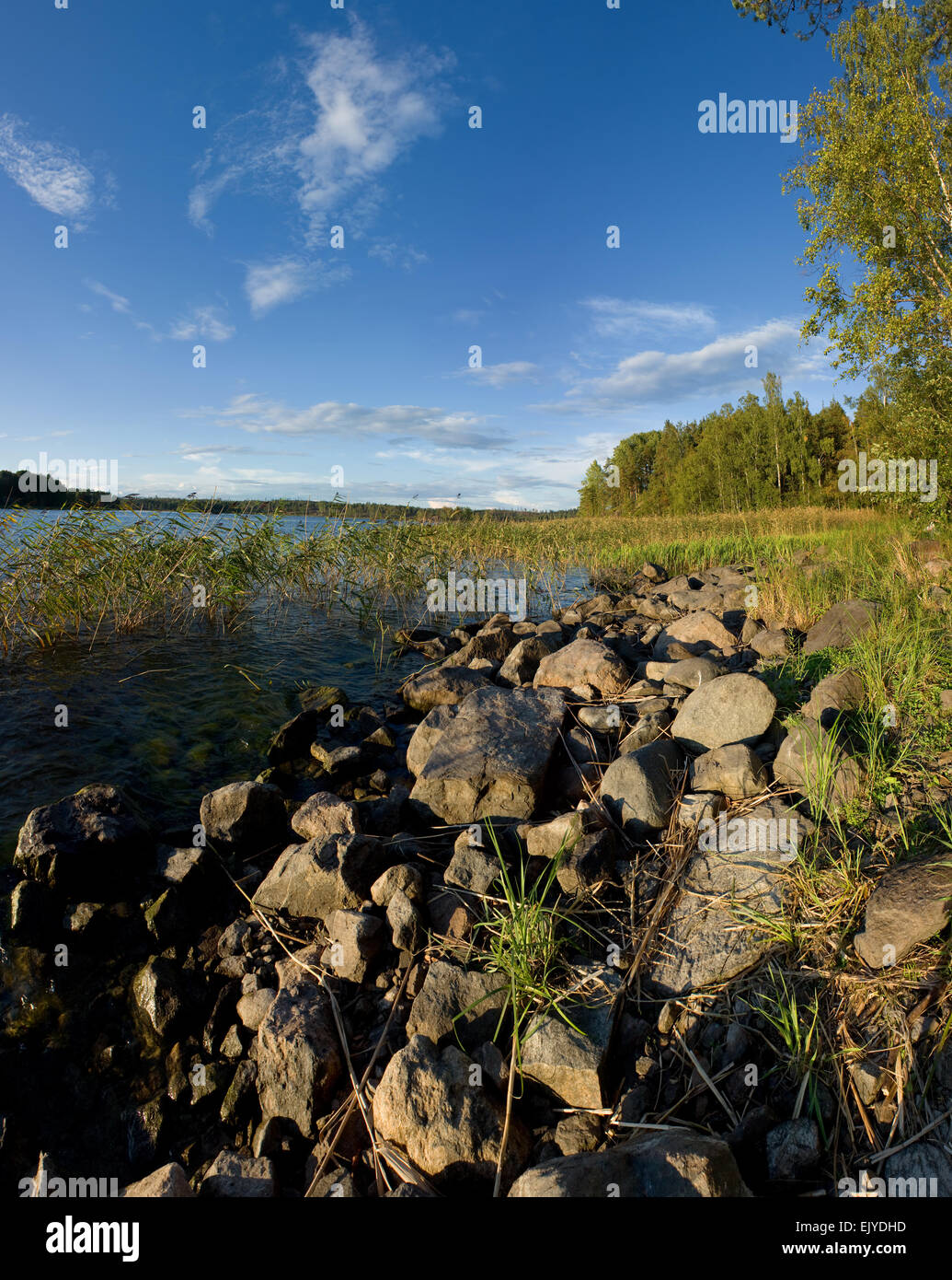 Ladoga-See im Sommer Sonnenuntergang helle, natürliche Landschaft Stockfoto