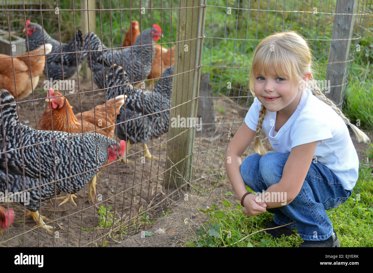 Kaukasische Mädchen mit Hühnern im Hof Stift. Stockfoto