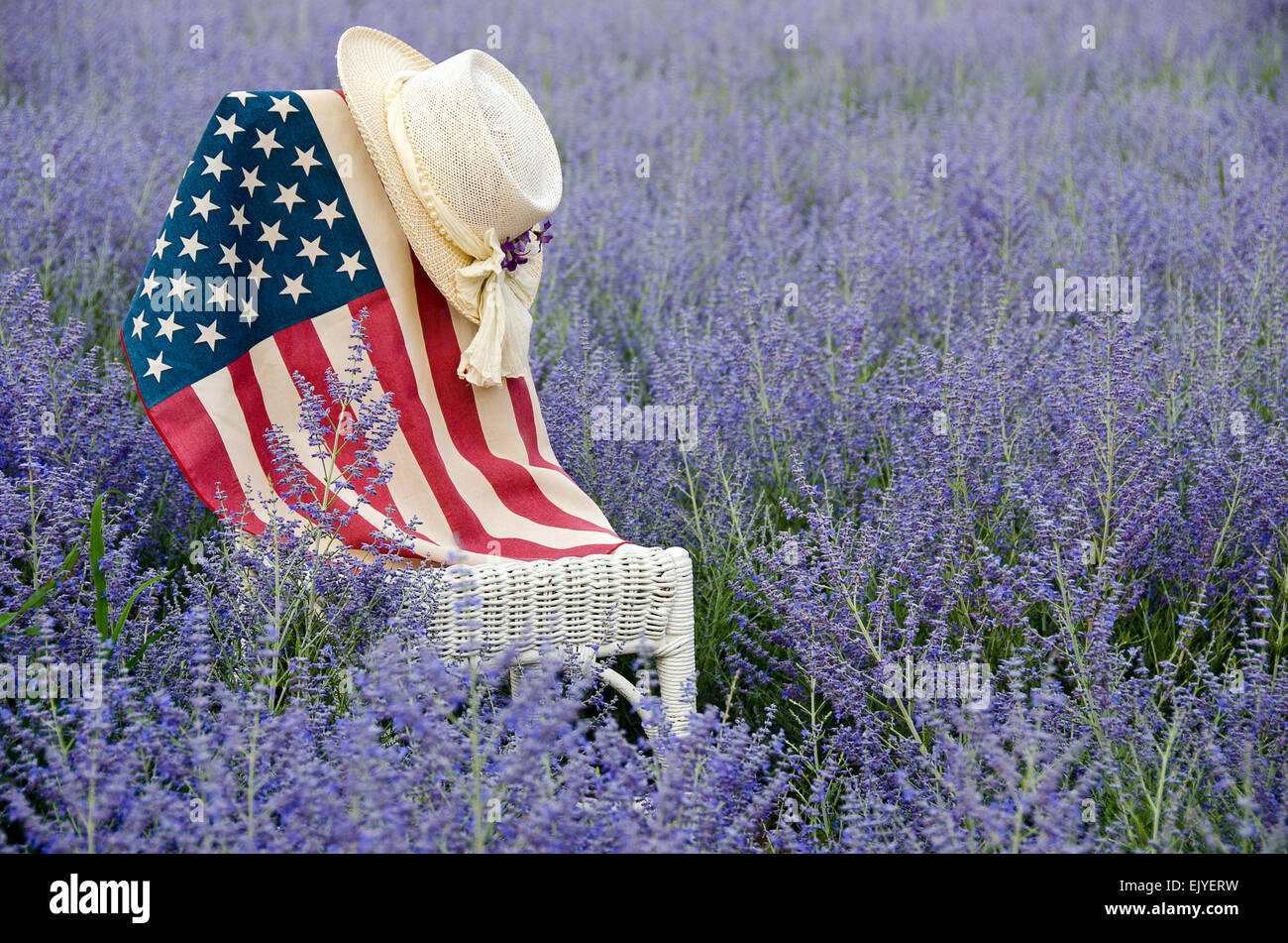 Hut und amerikanische Flagge auf einem weißen Korbstuhl in einem Feld von lila russischer Salbei. Stockfoto