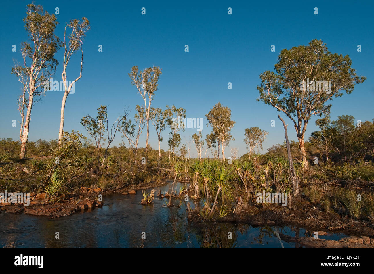 Edith Fluss unten Sweetwater Pool, Northern Territory, Australien Stockfoto