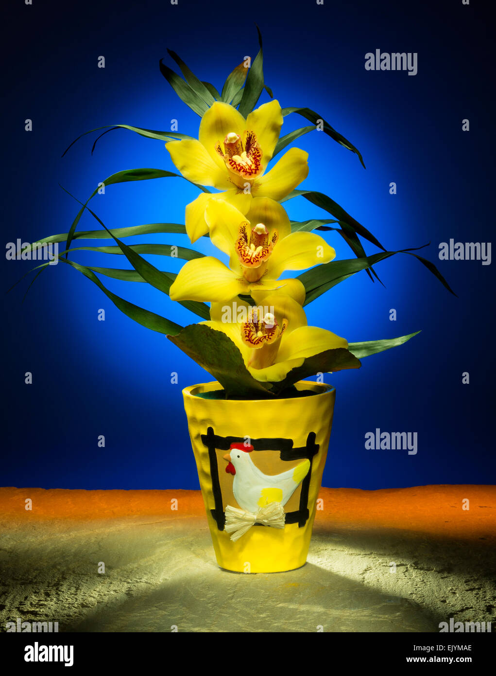 Ein Ostern Orchidee - Studio Stillleben Bild fotografiert mit leichten Maltechniken. Stockfoto