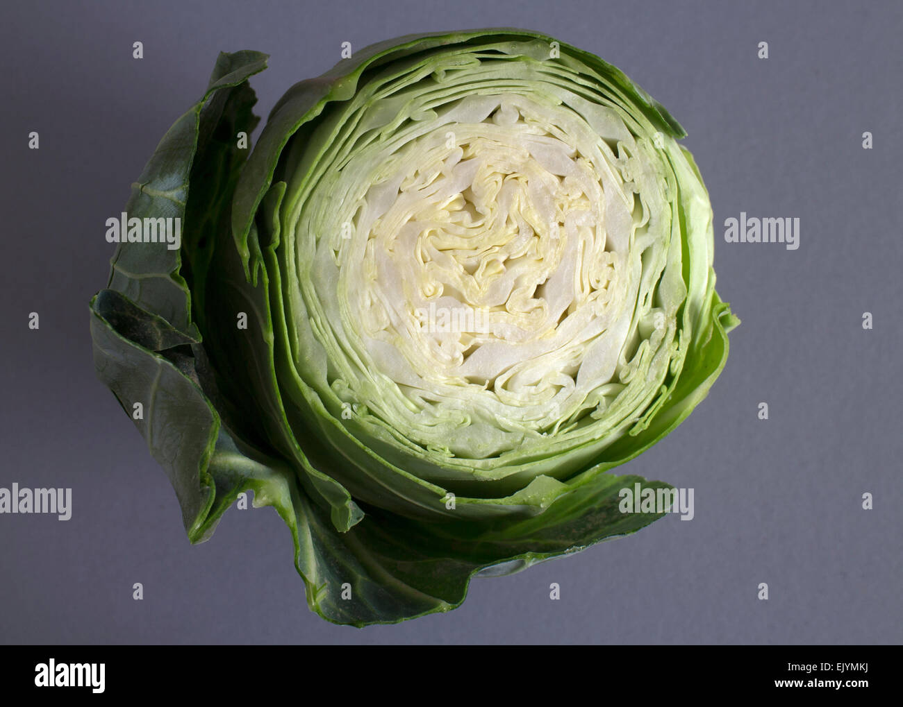 Spitzkohl, Querschnitt von oben Stockfoto